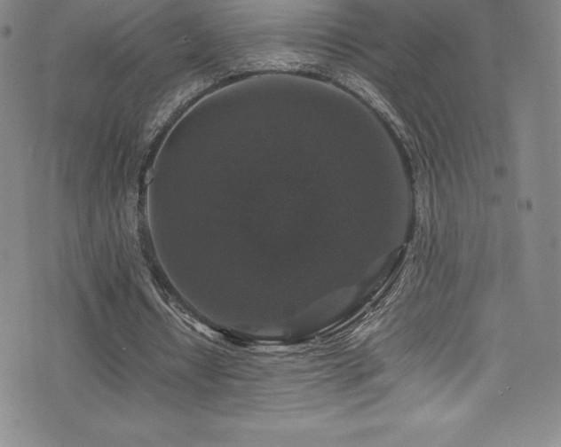 X0000077290434200610201138