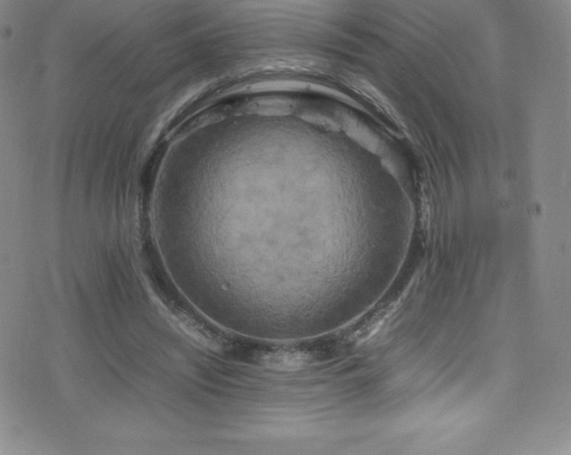 X0000077290444200610201138