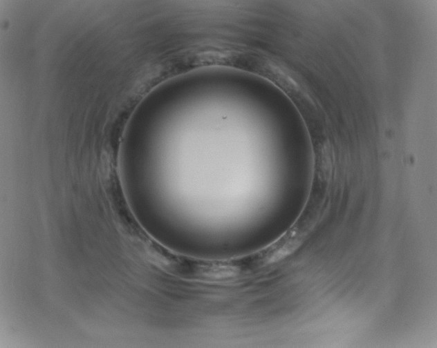 X0000077290463200610201138