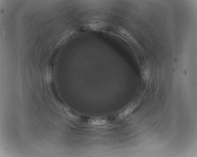 X0000077290471200610201138