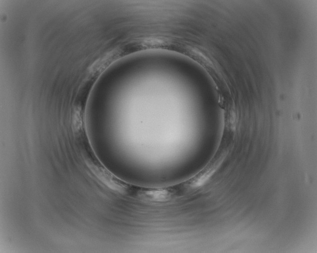 X0000077290478200610201139