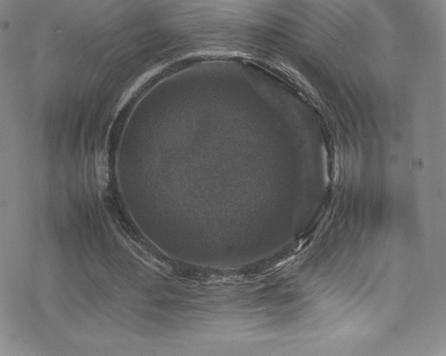 X0000077290484200610201138