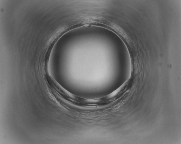 X0000077290485200610201138