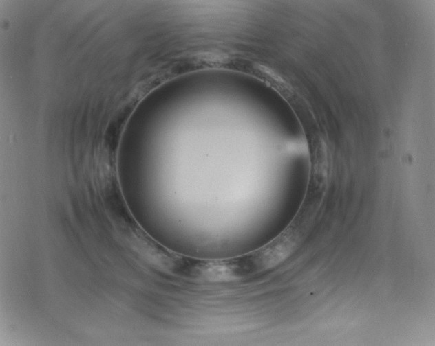 X0000077290518200610201137