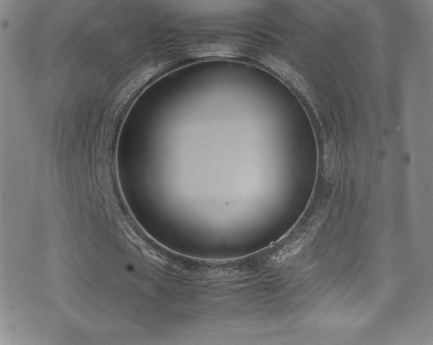 X0000077290529200610201136