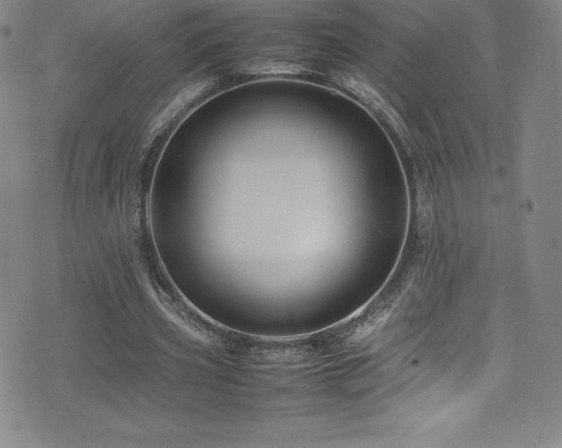 X0000077290533200610201136