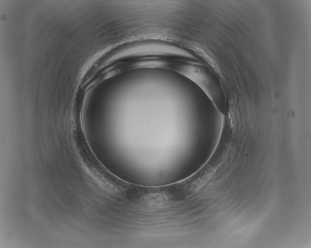 X0000077290536200610201136