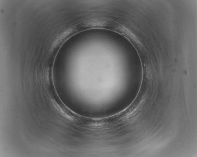 X0000077290537200610201136