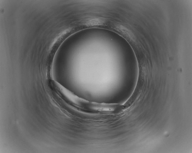 X0000077290539200610201136