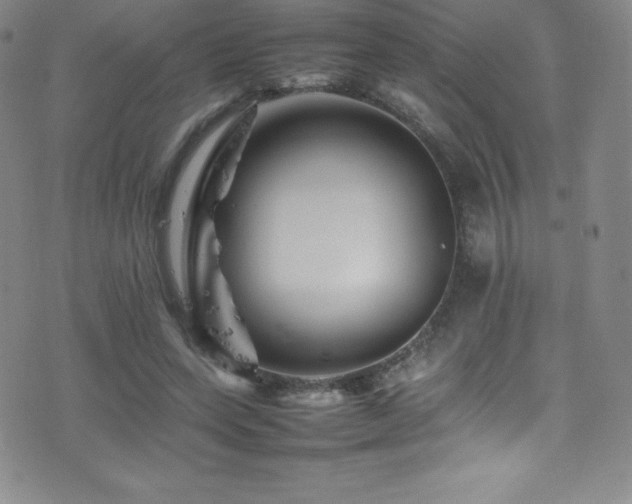 X0000077290543200610201136