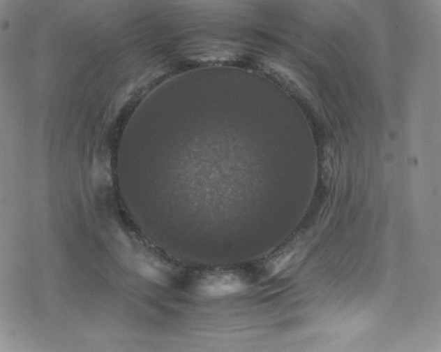 X0000077290547200610201136