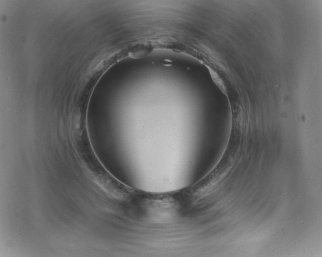 X0000077290548200610201136