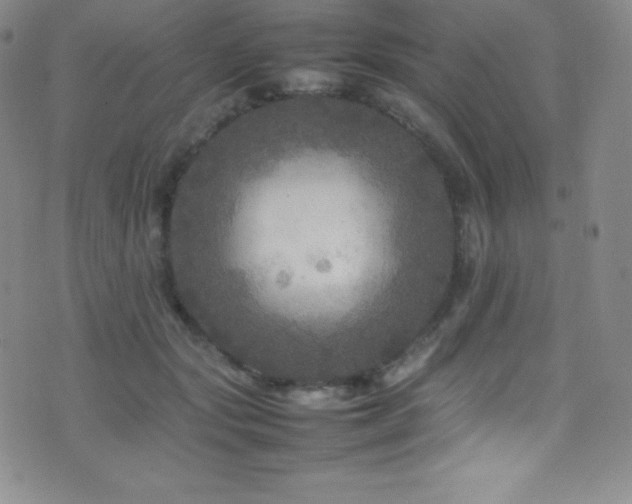 X0000077290557200610201137