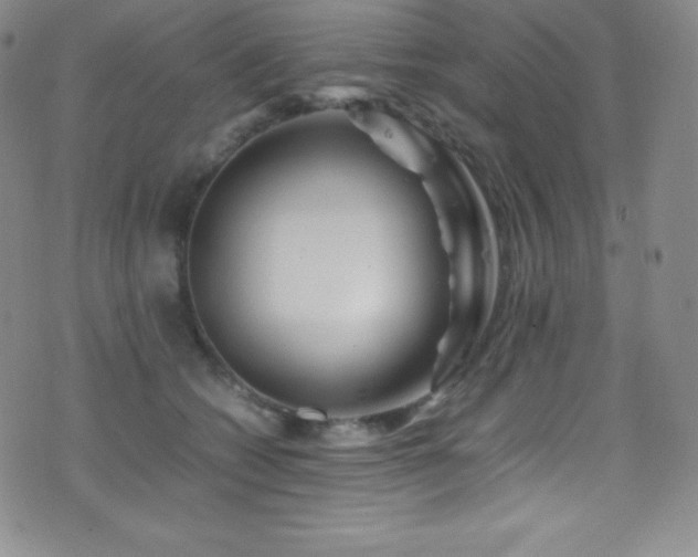 X0000077290562200610201137