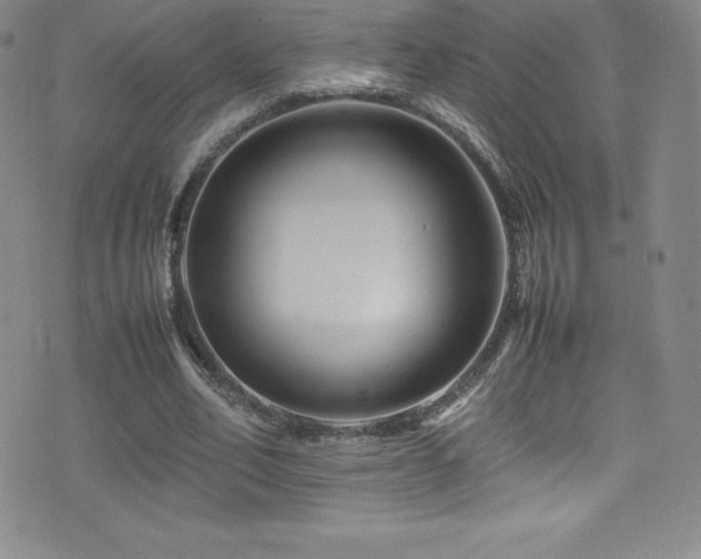 X0000077290582200610201136