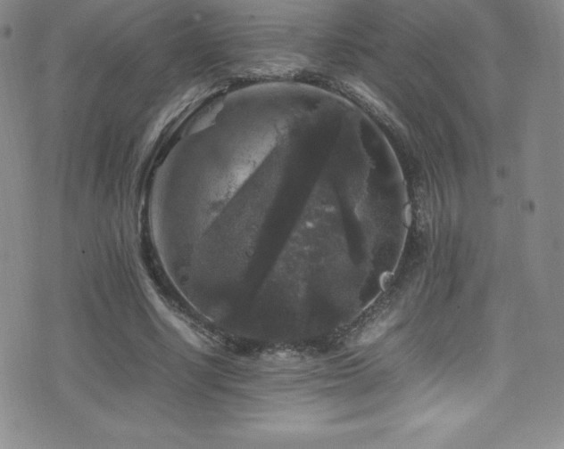 X0000077290634200610201135