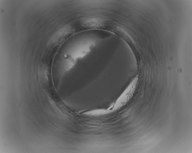 X0000077290643200610201135