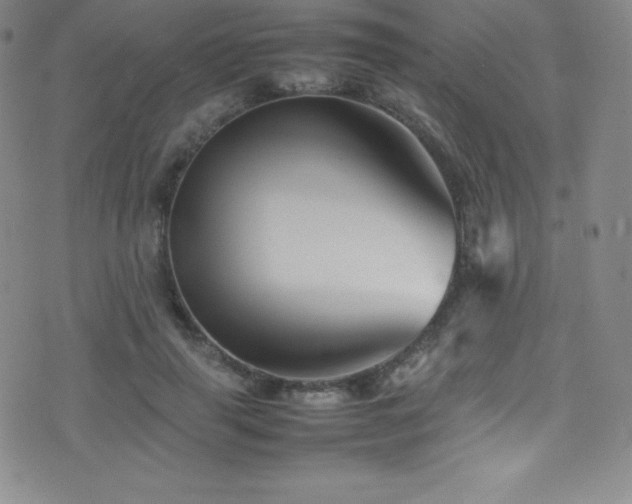 X0000077290645200610201135