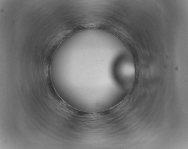 X0000077290652200610201135