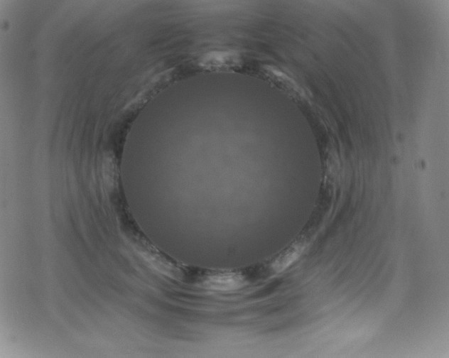 X0000077290659200610201135