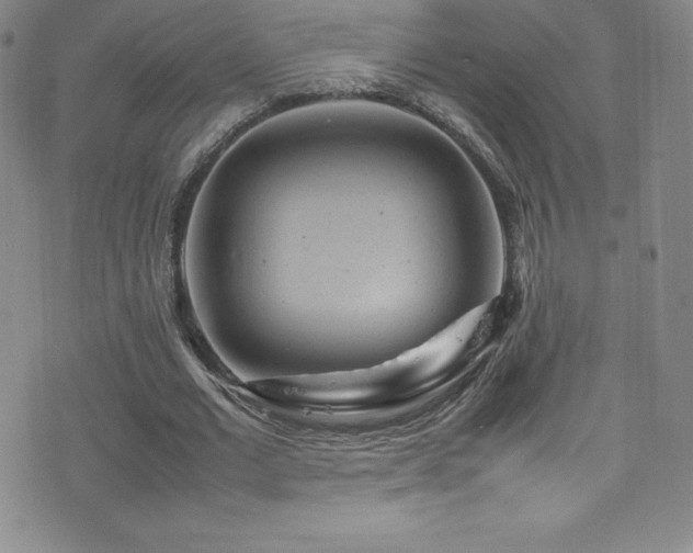 X0000077290677200610201134