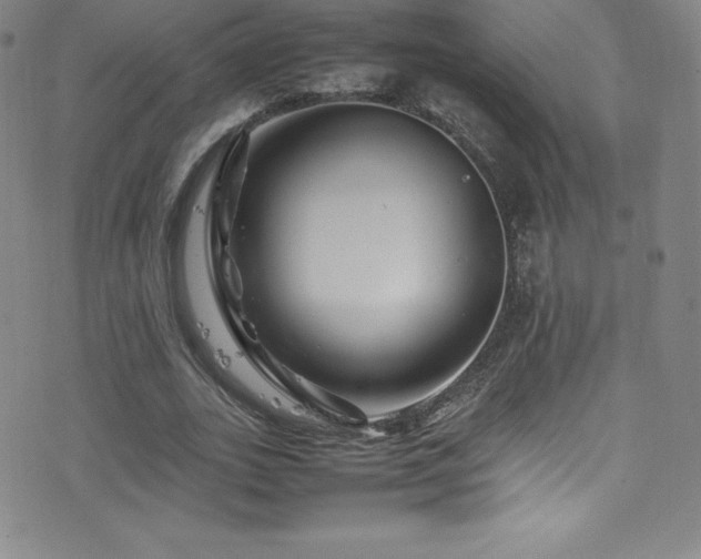 X0000077290727200610201133