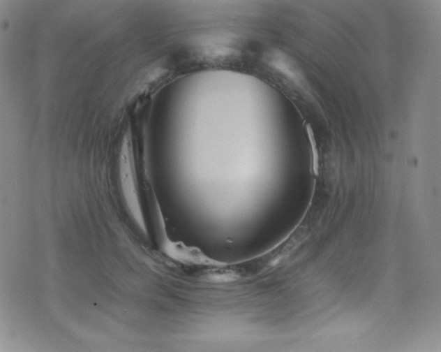 X0000077290750200610201133