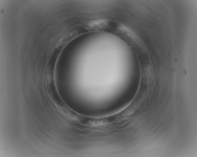 X0000077290751200610201133