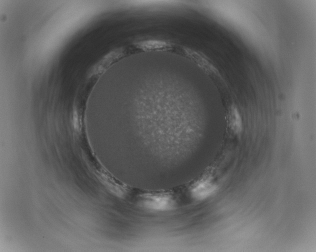 X0000077290763200610201134