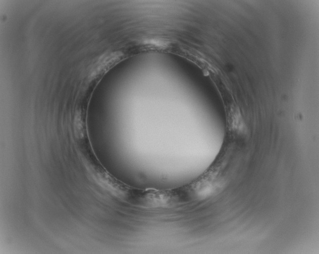 X0000077290764200610201134
