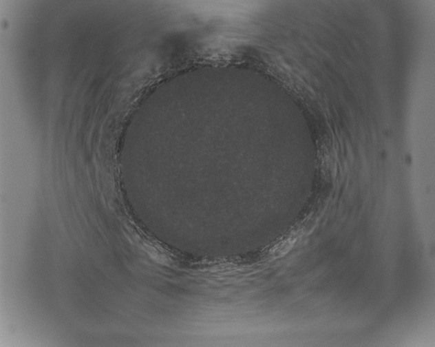 X0000077290769200610201133