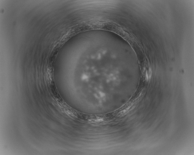 X0000077290772200610201133