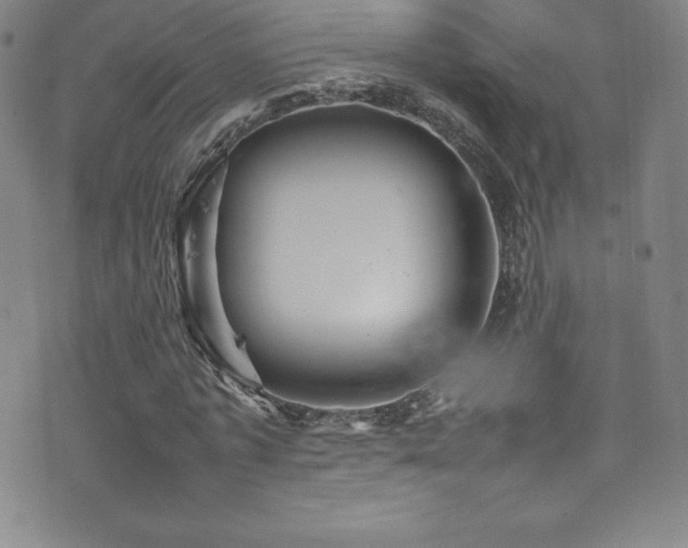 X0000077290773200610201133