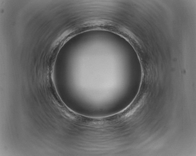 X0000077290778200610201133