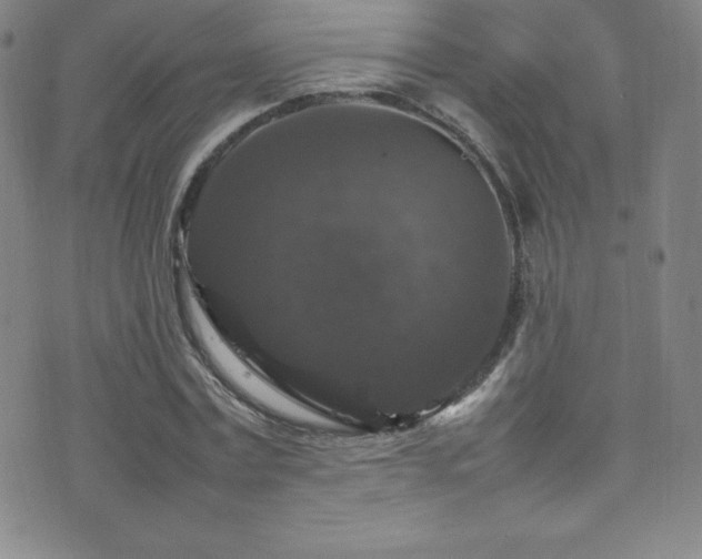 X0000077290779200610201133