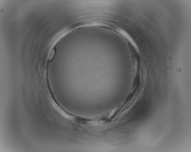 X0000077290805200610201132