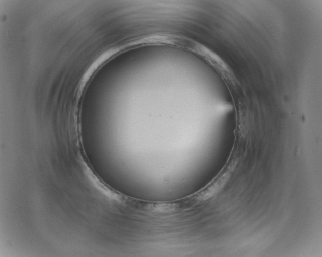 X0000077290808200610201132