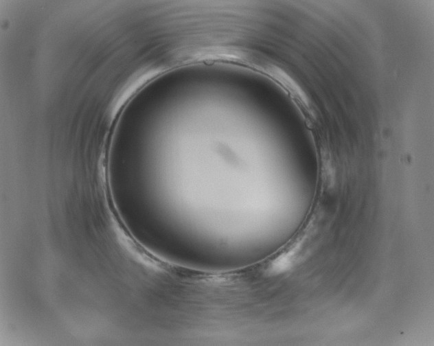X0000077290814200610201132
