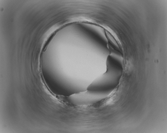 X0000077290815200610201132