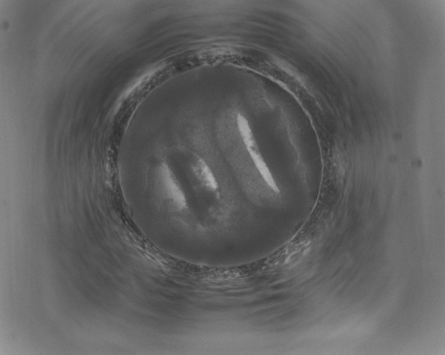 X0000077290823200610201131
