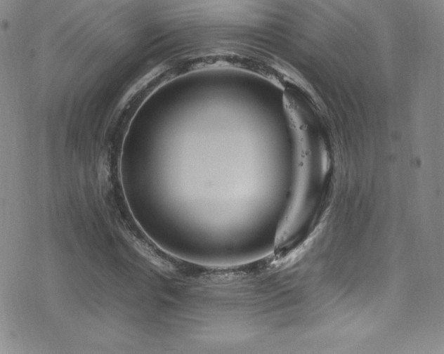 X0000077290826200610201132