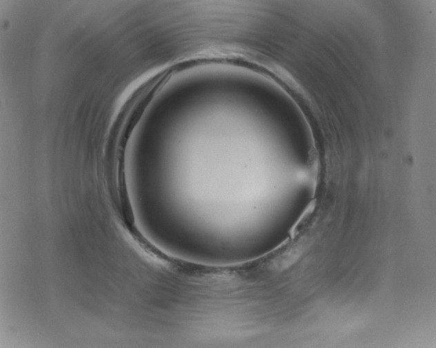 X0000077290838200610201132