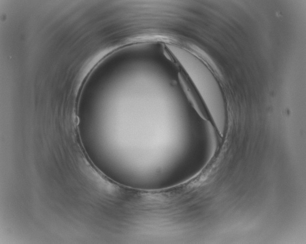 X0000077290852200610201132