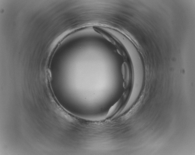 X0000077290854200610201132