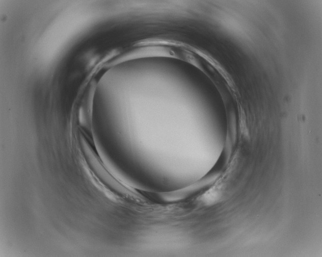 X0000077290862200610201132