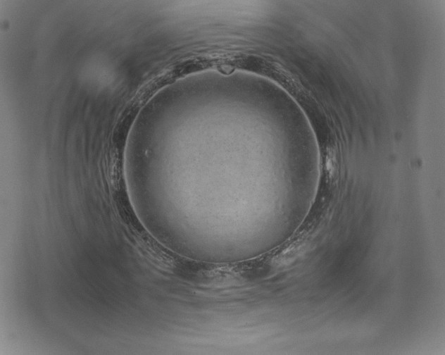 X0000077290867200610201131