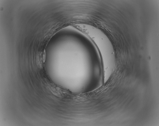 X0000077290868200610201131