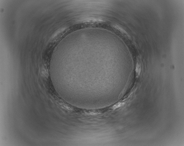 X0000077290869200610201131