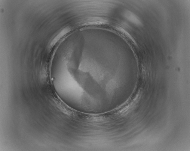 X0000077290874200610201131