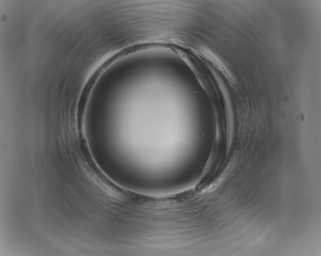 X0000077290884200610201131